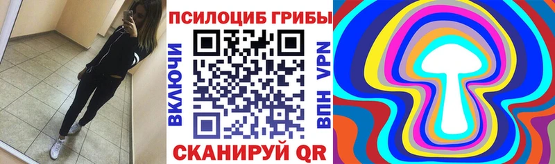 Псилоцибиновые грибы Magic Shrooms  Красноперекопск 
